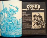 AS MELHORES HISTORIAS DA ESPADA SELVAGEM DE CONAN