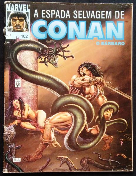 A ESPADA SELVAGEM DE CONAN n° 102